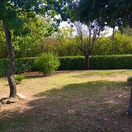 Pinà - 2 Montemarciano