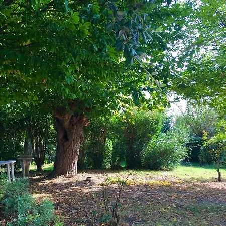 Pina - 2 몬테마르치아노