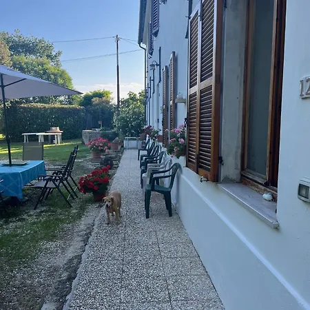 Pina - 2 몬테마르치아노