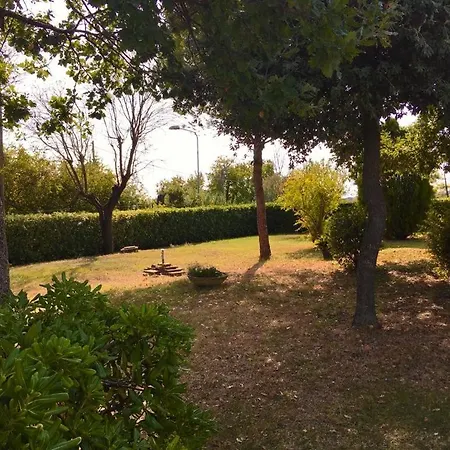 Pina - 2 * Montemarciano